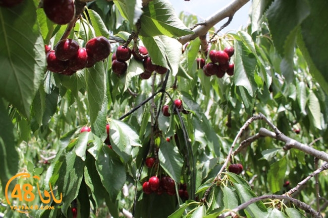 re7la a7ban (57).JPG